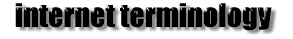  Internet Terminology 