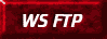  WS FTP made Simple 